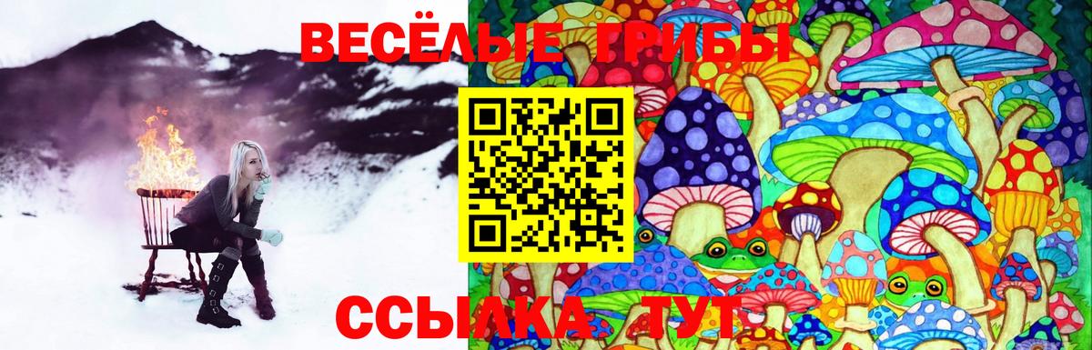 Галлюциногенные грибы ЛСД Ухта